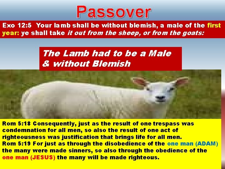 Passover Exo 12: 5 Your lamb shall be without blemish, a male of the