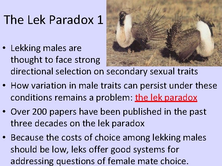 The Lek Paradox 1 • Lekking males are thought to face strong directional selection