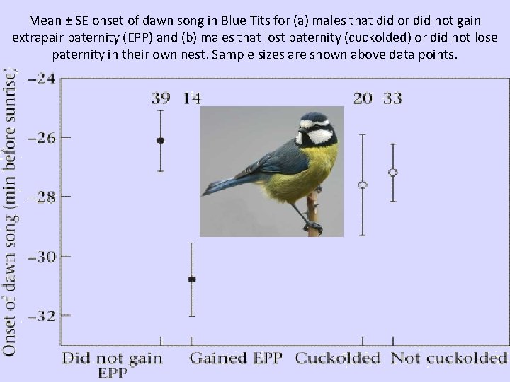 Mean ± SE onset of dawn song in Blue Tits for (a) males that