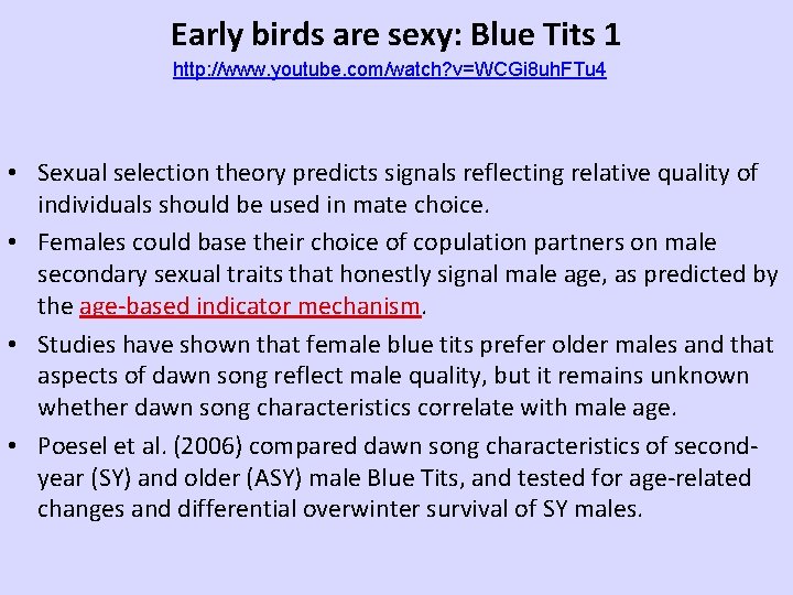 Early birds are sexy: Blue Tits 1 http: //www. youtube. com/watch? v=WCGi 8 uh.