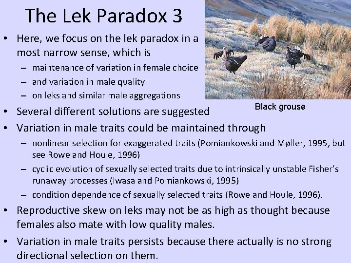 The Lek Paradox 3 • Here, we focus on the lek paradox in a