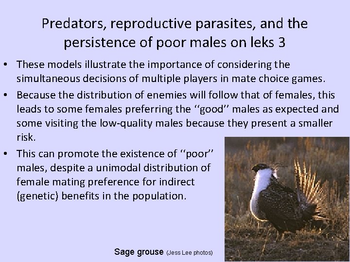 Predators, reproductive parasites, and the persistence of poor males on leks 3 • These