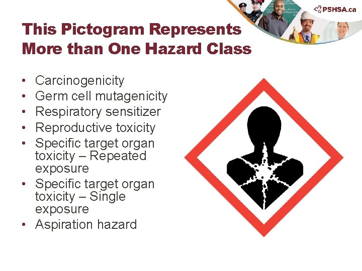 This Pictogram Represents More than One Hazard Class • • • Carcinogenicity Germ cell
