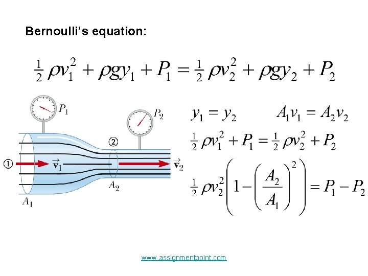 Bernoulli’s equation: www. assignmentpoint. com 