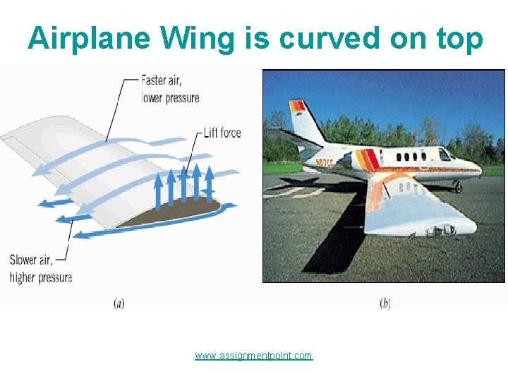 Airplane Wing is curved on top www. assignmentpoint. com 
