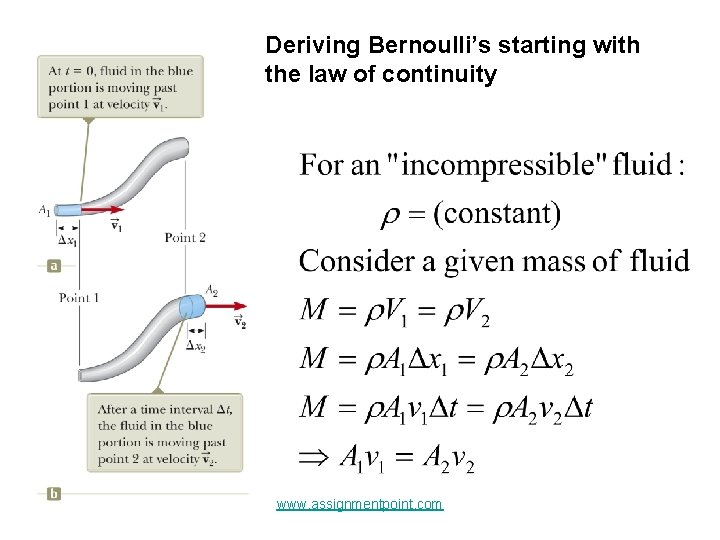Deriving Bernoulli’s starting with the law of continuity www. assignmentpoint. com 