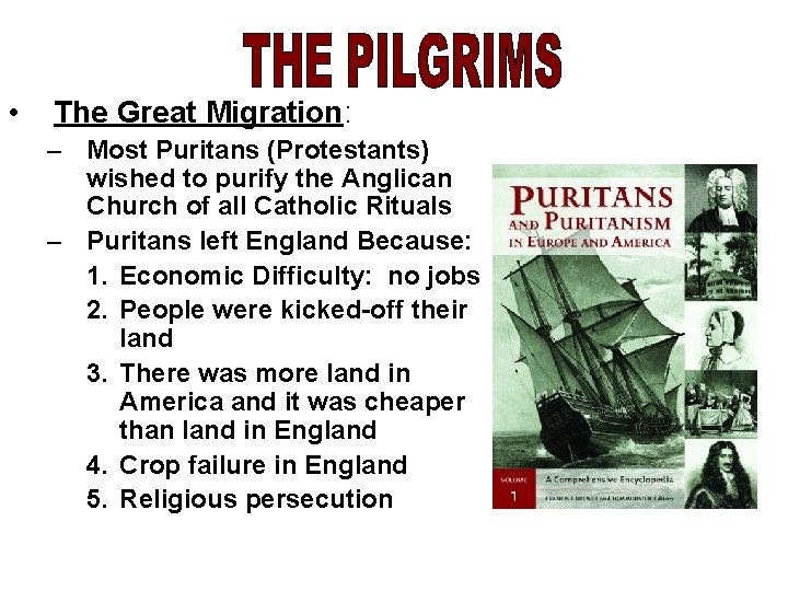  • The Great Migration: – Most Puritans (Protestants) wished to purify the Anglican
