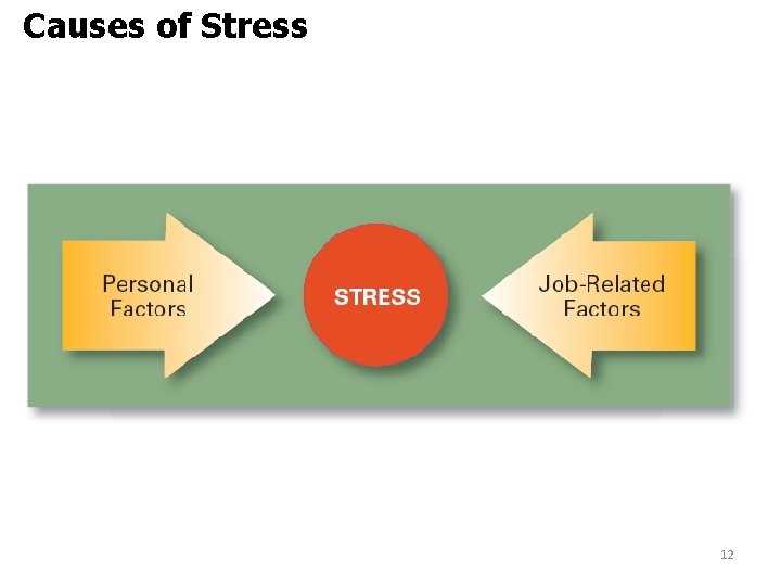 Causes of Stress 12 