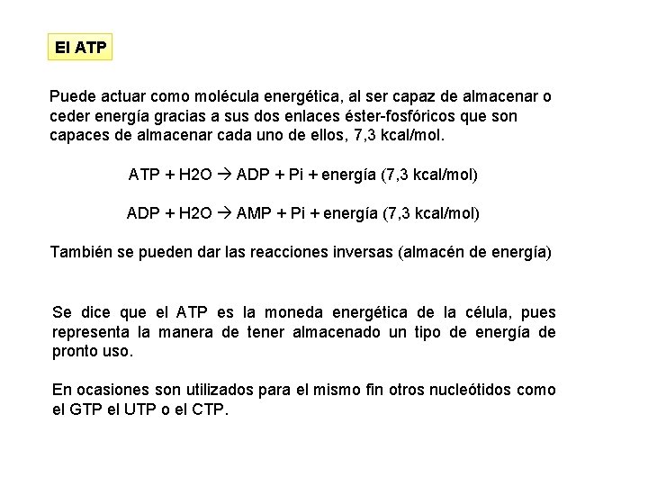 El ATP Puede actuar como molécula energética, al ser capaz de almacenar o ceder