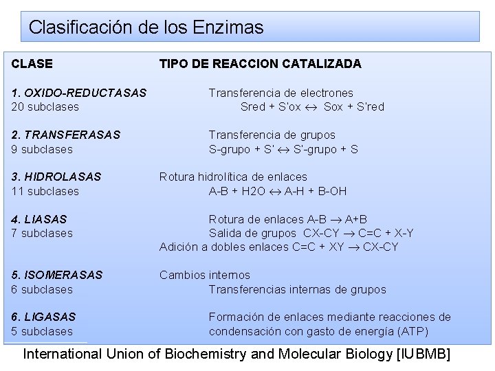 Clasificación de los Enzimas CLASE TIPO DE REACCION CATALIZADA 1. OXIDO-REDUCTASAS 20 subclases Transferencia