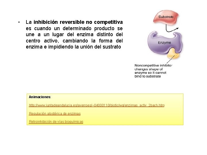  • La inhibición reversible no competitiva es cuando un determinado producto se une