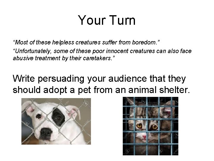 Your Turn “Most of these helpless creatures suffer from boredom. ” “Unfortunately, some of