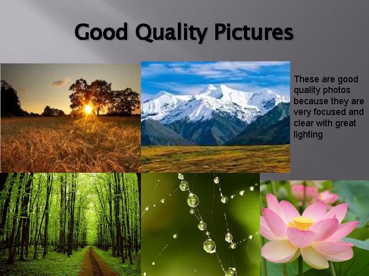 Good Quality Pictures These are good quality photos because they are very focused and