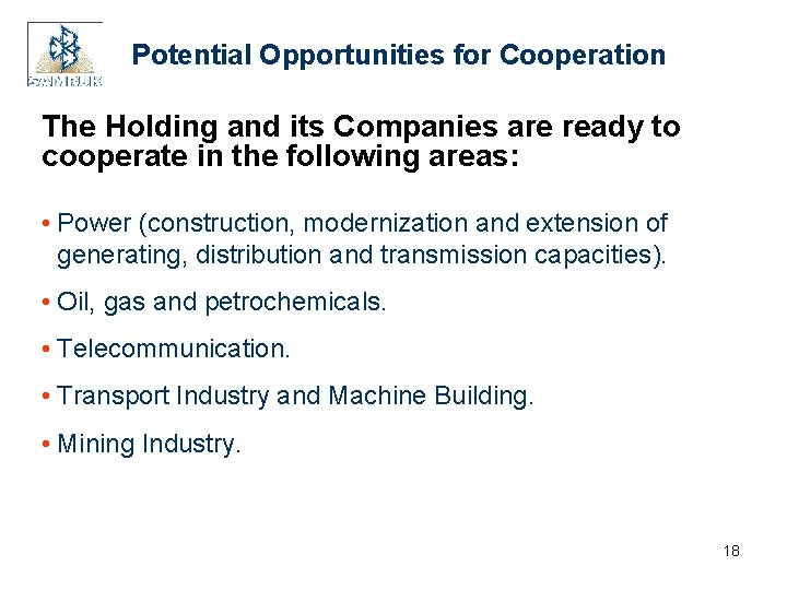 Potential Opportunities for Cooperation The Holding and its Companies are ready to cooperate in