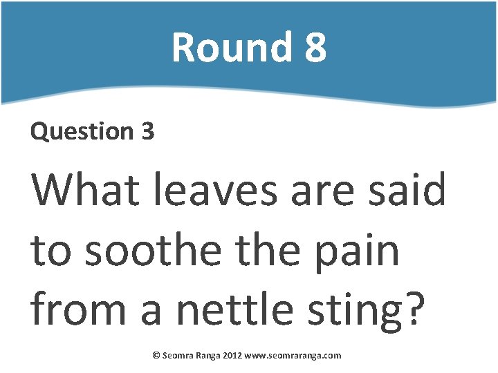 Round 8 Question 3 What leaves are said to soothe pain from a nettle