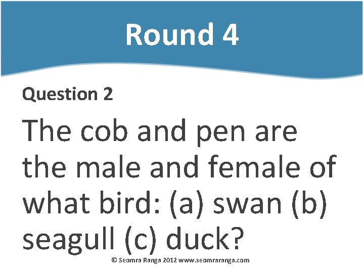 Round 4 Question 2 The cob and pen are the male and female of