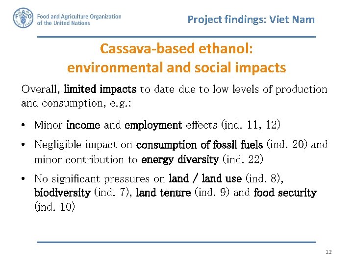Project findings: Viet Nam Cassava-based ethanol: environmental and social impacts Overall, limited impacts to