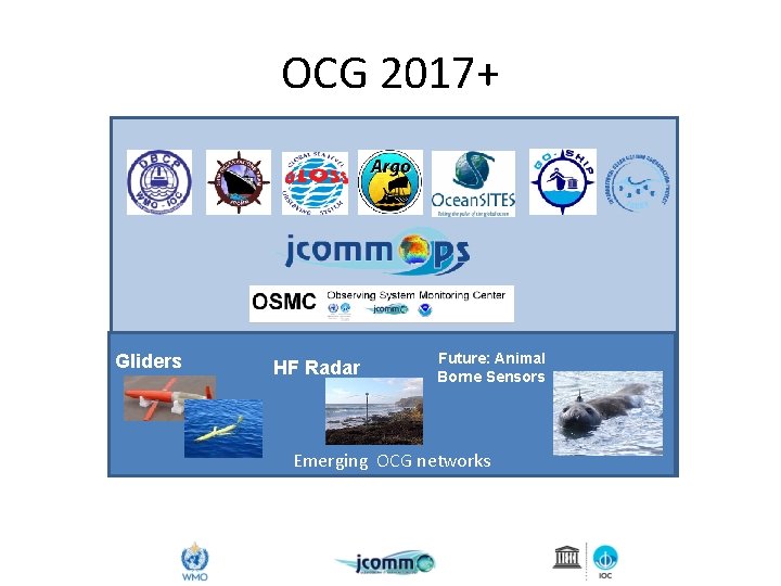 OCG 2017+ Gliders HF Radar Future: Animal Borne Sensors Emerging OCG networks 