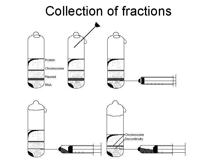 Collection of fractions 