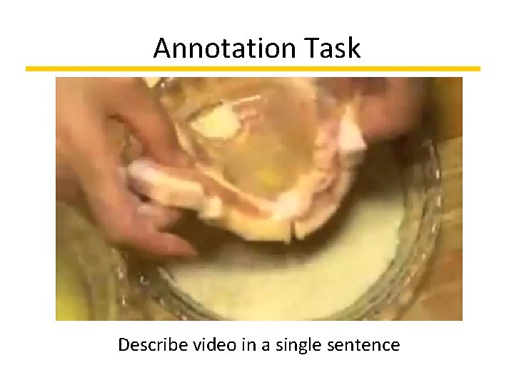 Annotation Task Describe video in a single sentence 