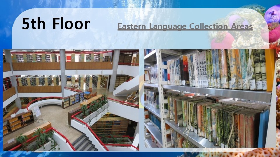 5 th Floor Eastern Language Collection Areas 