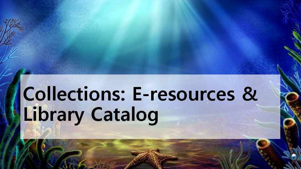 Collections: E-resources & Library Catalog 