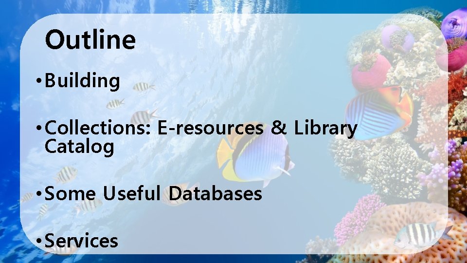 Outline • Building • Collections: E-resources & Library Catalog • Some Useful Databases •