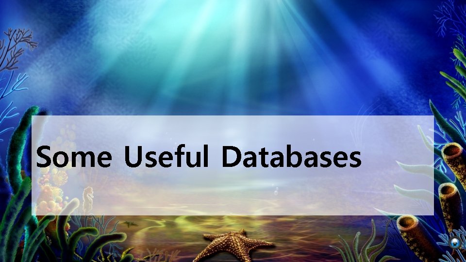 Some Useful Databases 