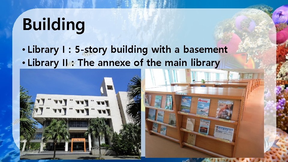 Building • Library I： 5 -story building with a basement • Library II：The annexe