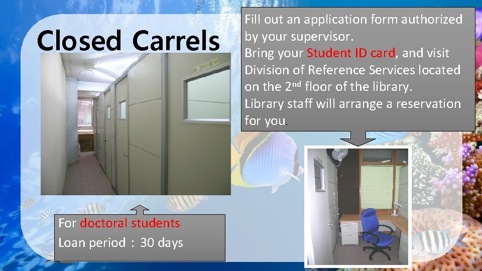 Closed Carrels For doctoral students Loan period： 30 days Fill out an application form