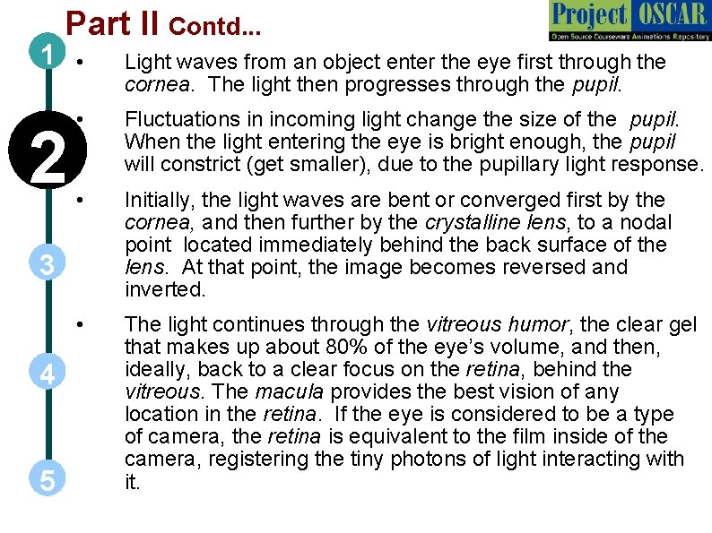 1 Part II Contd. . . 2 • Light waves from an object enter