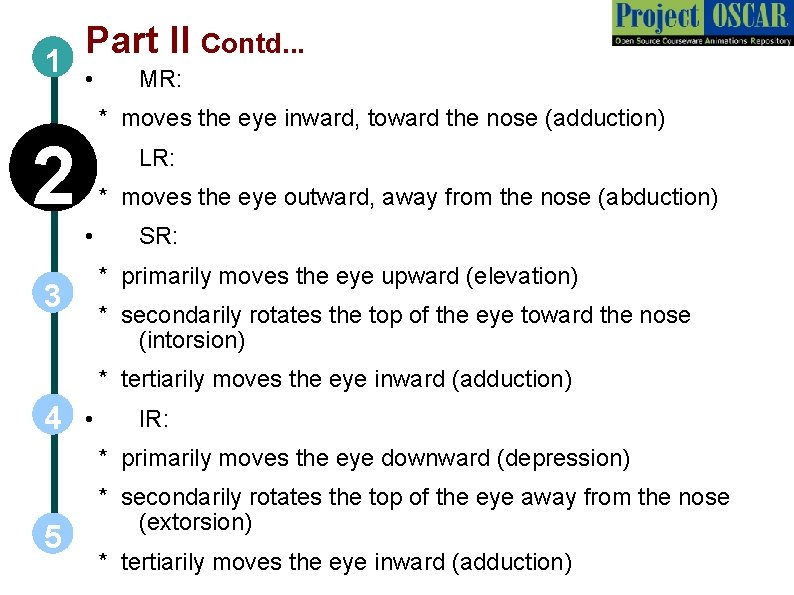 Part II Contd. . . 1 • MR: * moves the eye inward, toward