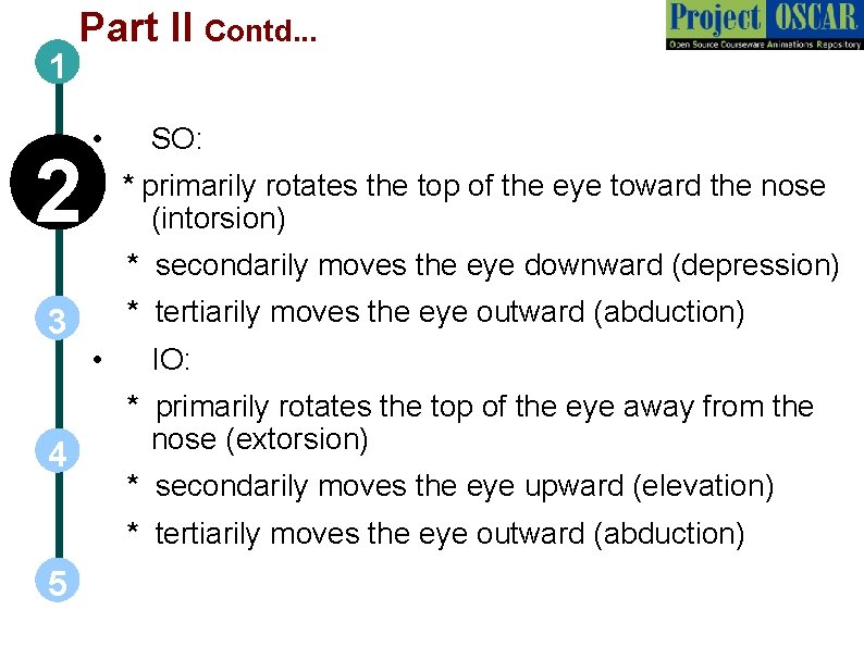 1 Part II Contd. . . 2 • SO: * * primarily rotates the