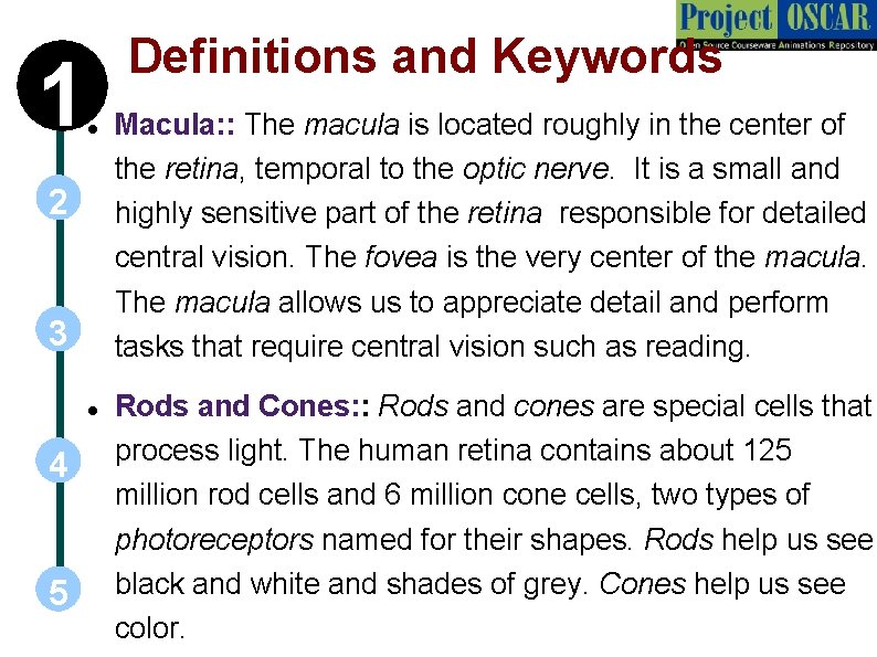 1 Definitions and Keywords 2 3 4 5 Macula: : The macula is located