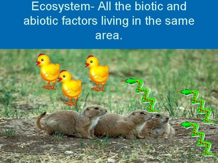Ecosystem- All the biotic and abiotic factors living in the same area. 