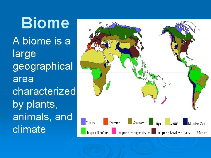 Biome A biome is a large geographical area characterized by plants, animals, and climate
