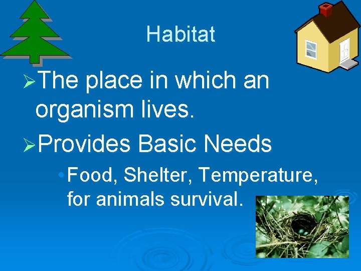 Habitat ØThe place in which an organism lives. ØProvides Basic Needs • Food, Shelter,