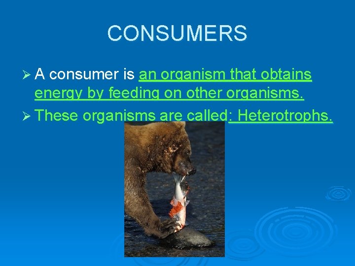CONSUMERS Ø A consumer is an organism that obtains energy by feeding on other