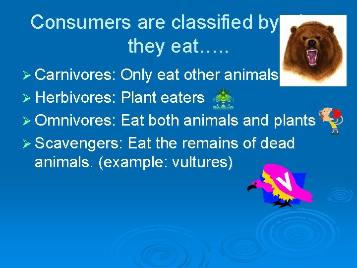 Consumers are classified by what they eat…. . Ø Carnivores: Only eat other animals
