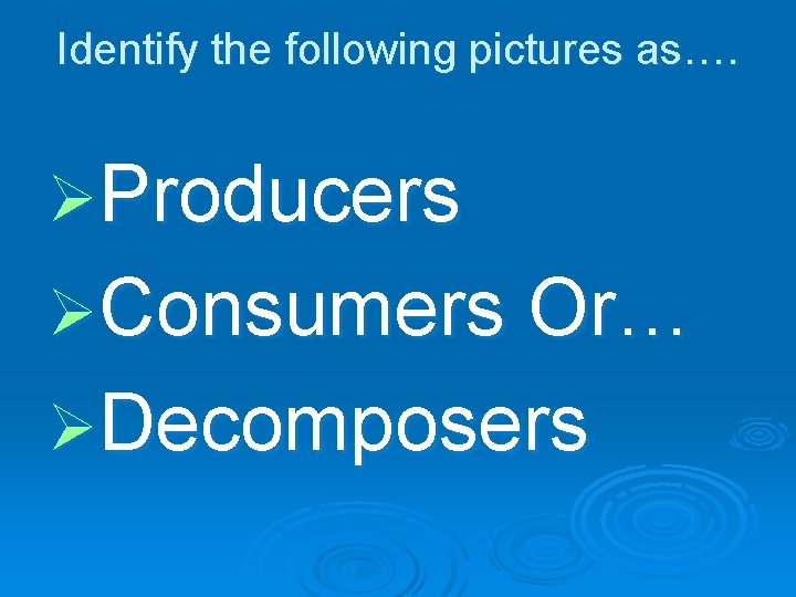 Identify the following pictures as…. ØProducers ØConsumers Or… ØDecomposers 