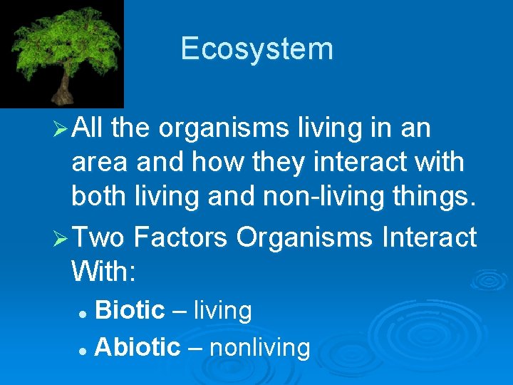 Ecosystem Ø All the organisms living in an area and how they interact with