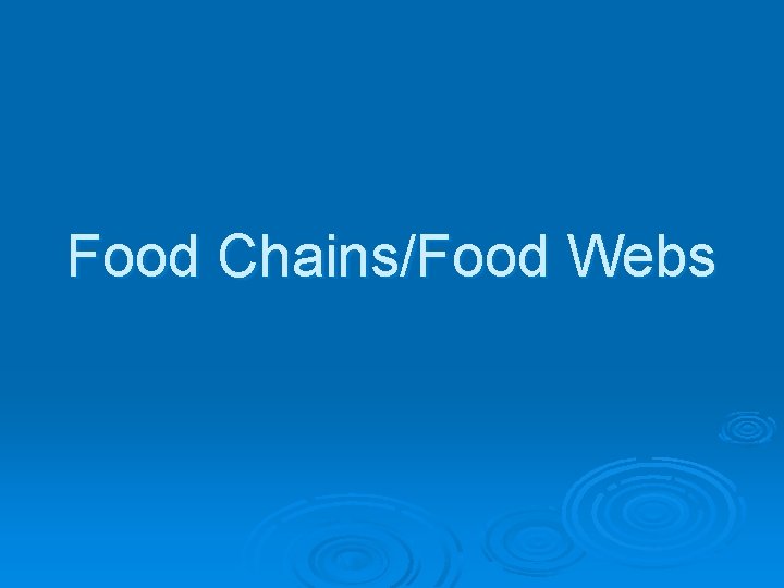 Food Chains/Food Webs 