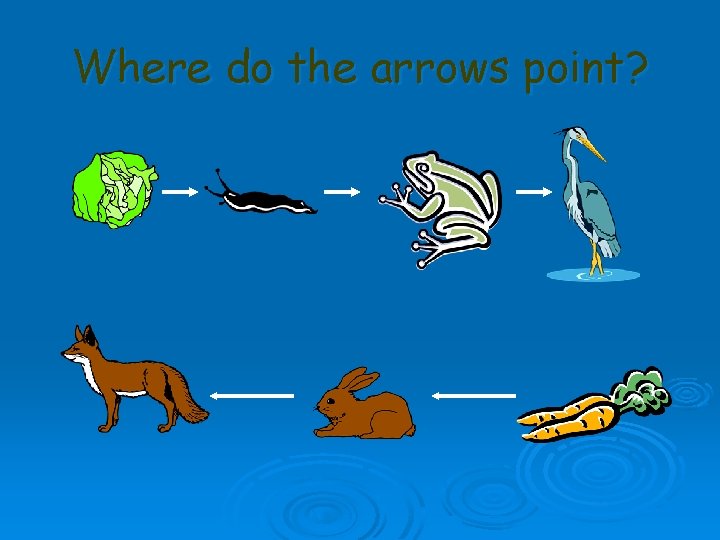 Where do the arrows point? 