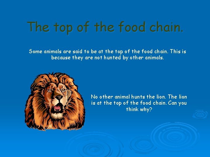 The top of the food chain. Some animals are said to be at the