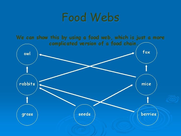 Food Webs We can show this by using a food web, which is just