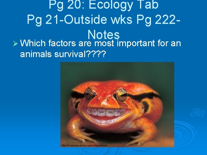 Pg 20: Ecology Tab Pg 21 -Outside wks Pg 222 Notes Ø Which factors