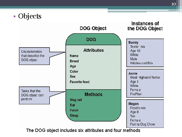 10 • Objects The DOG object includes six attributes and four methods 