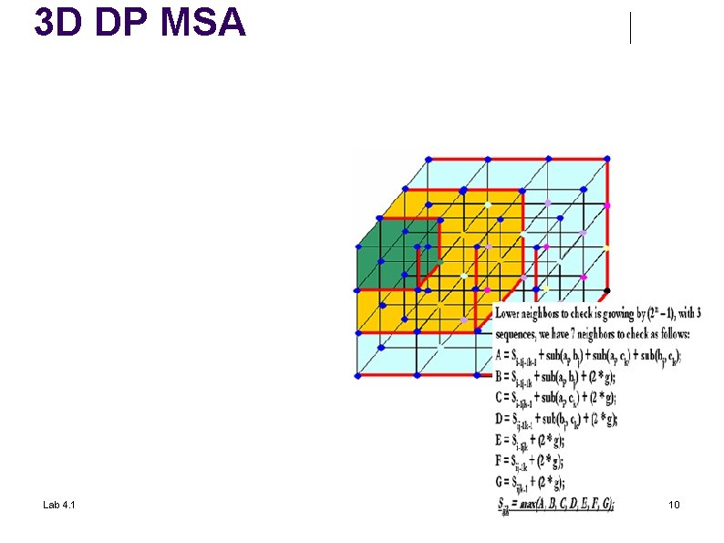 3 D DP MSA Lab 4. 1 10 