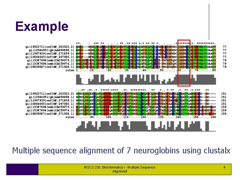 Example Multiple sequence alignment of 7 neuroglobins using clustalx MSCS 230: Bioinformatics I - Example Multiple sequence alignment of 7 neuroglobins using clustalx MSCS 230: Bioinformatics I -
