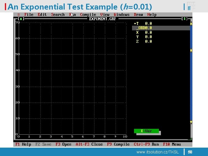 An Exponential Test Example (h=0. 01) www. itsolution. cz/TKSL 58 